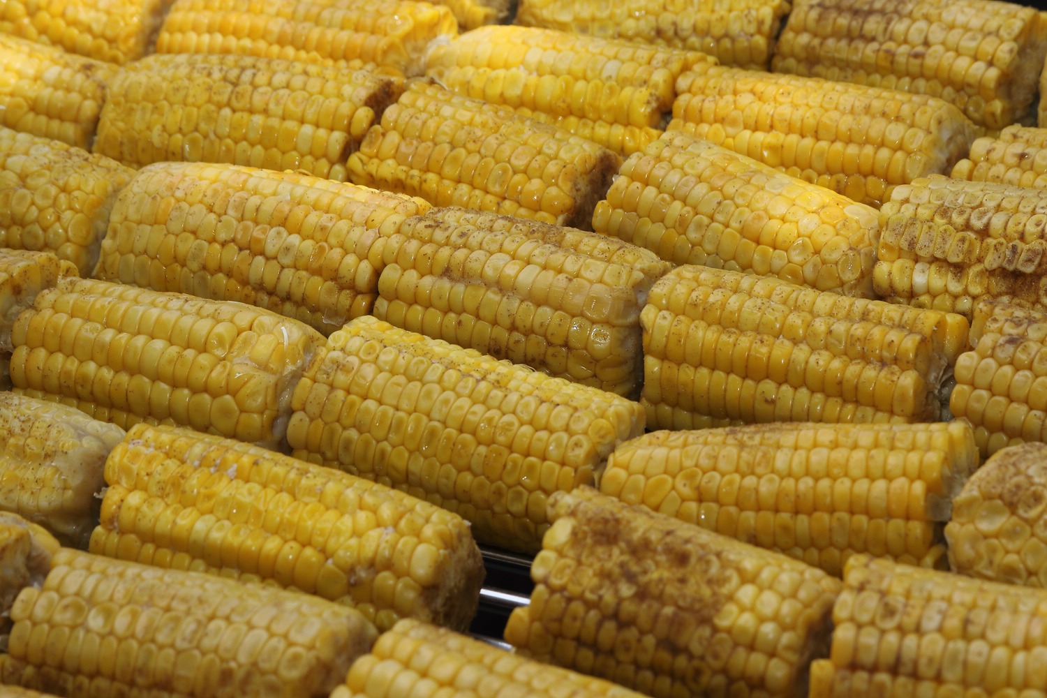 Grilled Cron / gegrillte Maiskolben Gegrillte Maiskolben von Grillmeister Pausch