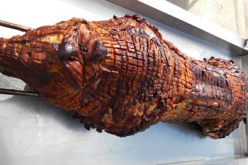 Perfekt gegrilltes Spanferkel