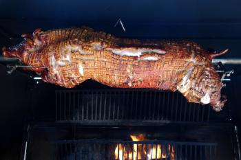 Über Buchenholz gegrilltes Spanferkel