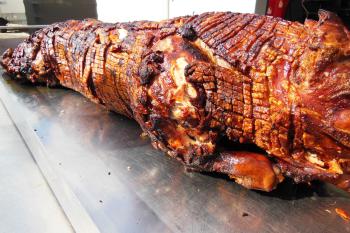 Perfekt gegrilltes Spanferkel