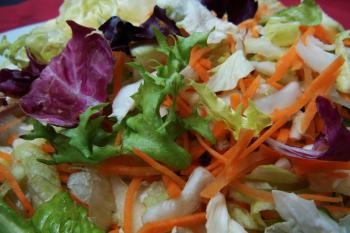 Grüner gemischter Salat